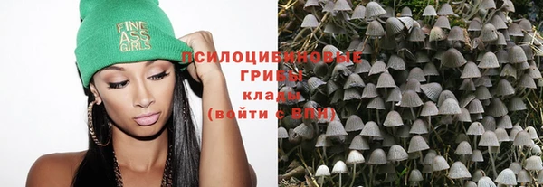 каннабис Беломорск