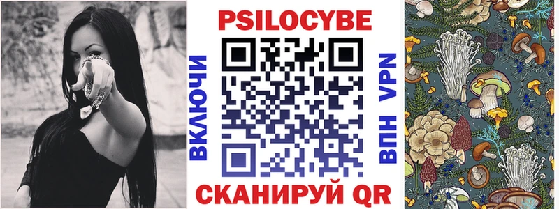 Псилоцибиновые грибы Cubensis даркнет сайт Кочубеевское